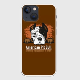 Чехол для iPhone 13 mini с принтом Американский Питбультерьер (Pit Bull Terrier) в Петрозаводске,  |  | american pit bull terrier | boxer | bulldog | fighting dog | pit bull | американский питбультерьер | бойцовская собака | бойцовский пес | боксер | бульдог | волкодав | друг человека | кинолог | пес | питбуль | питбультерьер