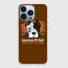 Чехол для iPhone 13 Pro с принтом Американский Питбультерьер (Pit Bull Terrier) в Петрозаводске,  |  | american pit bull terrier | boxer | bulldog | fighting dog | pit bull | американский питбультерьер | бойцовская собака | бойцовский пес | боксер | бульдог | волкодав | друг человека | кинолог | пес | питбуль | питбультерьер