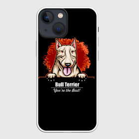Чехол для iPhone 13 mini с принтом Собака Бультерьер в Петрозаводске,  |  | bull terrier | bulldog | dog | fighting dog | pit bull | terrier | бойцовская собака | бульдог | бультерьер | год собаки | друг человека | животное | зверь | кинолог | кость | пёс | питбуль | порода собак | собака