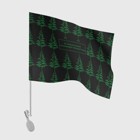 Флаг для автомобиля с принтом Ёлки ненавидят Новый год в Петрозаводске, 100% полиэстер | Размер: 30*21 см | елка | лес | прикол | природа | цитата