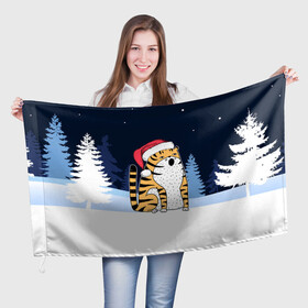 Флаг 3D с принтом Удивленный тигр 2022 в Петрозаводске, 100% полиэстер | плотность ткани — 95 г/м2, размер — 67 х 109 см. Принт наносится с одной стороны | 2022 | год тигра | новый год | новый год 2022 | символ года | тигр | тигренок | тигрица | тигры