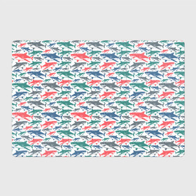 Магнитный плакат 3Х2 с принтом Разноцветные Акулы в Петрозаводске, Полимерный материал с магнитным слоем | 6 деталей размером 9*9 см | fish | ocean | predator | shark | white shark | акула | белая акула | зубы | море | морской хищник | океан | рыба | хищная рыба | хищник