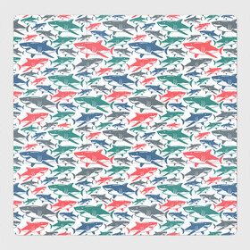 Магнитный плакат 3Х3 с принтом Разноцветные Акулы в Петрозаводске, Полимерный материал с магнитным слоем | 9 деталей размером 9*9 см | fish | ocean | predator | shark | white shark | акула | белая акула | зубы | море | морской хищник | океан | рыба | хищная рыба | хищник