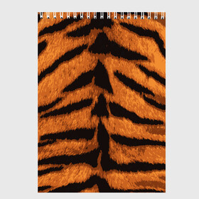 Скетчбук с принтом ТИГРИНАЯ ШКУРА в Петрозаводске, 100% бумага
 | 48 листов, плотность листов — 100 г/м2, плотность картонной обложки — 250 г/м2. Листы скреплены сверху удобной пружинной спиралью | 2022 | christmas | merry | new | tiger | year | год | животные | новый | рождество | текструа | тигр | тигра | тигриная | тигровая | шерсть