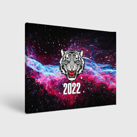 Холст прямоугольный с принтом ЧЁРНЫЙ ТИГР НОВЫЙ ГОД 2022   GRAY TIGER NEW YEAR в Петрозаводске, 100% ПВХ |  | 2022 | beast | merry christmas | new year | red bow | santa hat | snow | tiger | winter | winter is coming | year of the tiger | год тигра | дед мороз | животные | звери | зверь | зима | зима 2022 | зима близко | новог | новогодни