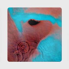Магнит виниловый Квадрат с принтом Meddle   Pink Floyd в Петрозаводске, полимерный материал с магнитным слоем | размер 9*9 см, закругленные углы | pink floyd | pinkfloyd | альбом | арт | артрок | дэвид гилмор | пинк флойд | пинкфлойд | прогрессивный | психоделический | ричард райт | роджер уотерс | рок группа | сид барретт | симфонический | спэйс | эйсид