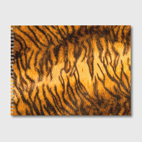 Альбом для рисования с принтом Шкура тигра 2022 в Петрозаводске, 100% бумага
 | матовая бумага, плотность 200 мг. | Тематика изображения на принте: 2022 | год тигра | новый год | новый год 2022 | символ года | тигр | тигренок | тигрица | тигры