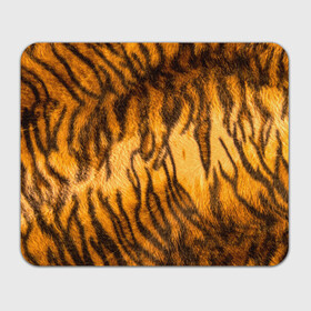 Прямоугольный коврик для мышки с принтом Шкура тигра 2022 в Петрозаводске, натуральный каучук | размер 230 х 185 мм; запечатка лицевой стороны | Тематика изображения на принте: 2022 | год тигра | новый год | новый год 2022 | символ года | тигр | тигренок | тигрица | тигры