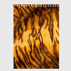 Скетчбук с принтом Шкура тигра 2022 в Петрозаводске, 100% бумага
 | 48 листов, плотность листов — 100 г/м2, плотность картонной обложки — 250 г/м2. Листы скреплены сверху удобной пружинной спиралью | Тематика изображения на принте: 2022 | год тигра | новый год | новый год 2022 | символ года | тигр | тигренок | тигрица | тигры
