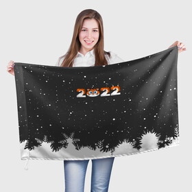 Флаг 3D с принтом Новый год 2022 - надпись 2022 в Петрозаводске, 100% полиэстер | плотность ткани — 95 г/м2, размер — 67 х 109 см. Принт наносится с одной стороны | 2022 | год тигра | новый год | новый год 2022 | символ года | тигр | тигренок | тигрица | тигры