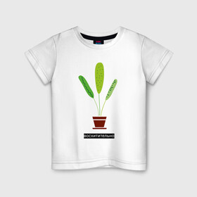 Детская футболка хлопок с принтом Растение в горшке Восхитительно в Петрозаводске, 100% хлопок | круглый вырез горловины, полуприлегающий силуэт, длина до линии бедер | дом | интерьер | листья | растение | растение в горшке | уют | флора | цветок