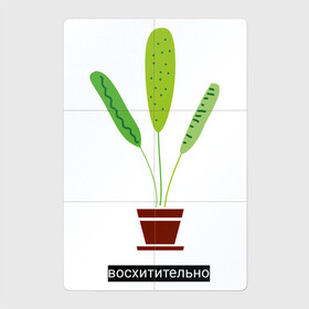 Магнитный плакат 2Х3 с принтом Растение в горшке Восхитительно в Петрозаводске, Полимерный материал с магнитным слоем | 6 деталей размером 9*9 см | дом | интерьер | листья | растение | растение в горшке | уют | флора | цветок