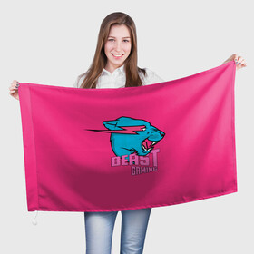Флаг 3D с принтом Mr Beast Gaming Full Print (Pink edition) в Петрозаводске, 100% полиэстер | плотность ткани — 95 г/м2, размер — 67 х 109 см. Принт наносится с одной стороны | gamer | games | gaming | mr beast | mrbeast | youtube | блогеры | игры | мистер бист | ютуберы