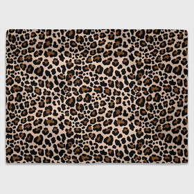 Плед 3D с принтом Леопардовые Пятна в Петрозаводске, 100% полиэстер | закругленные углы, все края обработаны. Ткань не мнется и не растягивается | jaguar | leopard | ocelot | predator | гепард | дикая кошка | животное | зверь | кот | леопард | леопардовые пятна | оцелот | хищная кошка | хищник | ягуар
