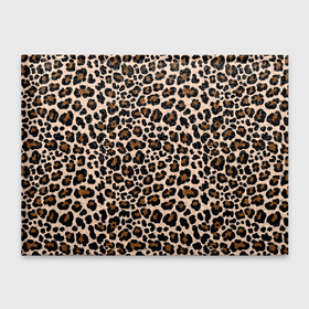 Обложка для студенческого билета с принтом Леопардовые Пятна в Петрозаводске, натуральная кожа | Размер: 11*8 см; Печать на всей внешней стороне | Тематика изображения на принте: jaguar | leopard | ocelot | predator | гепард | дикая кошка | животное | зверь | кот | леопард | леопардовые пятна | оцелот | хищная кошка | хищник | ягуар