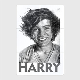 Магнитный плакат 2Х3 с принтом Harry  Styles в Петрозаводске, Полимерный материал с магнитным слоем | 6 деталей размером 9*9 см | harry edward styles | британец | бритпопо | гарри стайлс | дирекшин | дирекшины