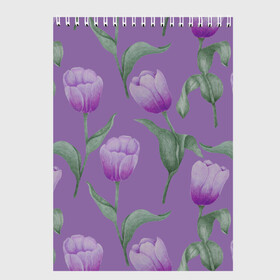 Скетчбук с принтом Фиолетовые тюльпаны с зелеными листьями в Петрозаводске, 100% бумага
 | 48 листов, плотность листов — 100 г/м2, плотность картонной обложки — 250 г/м2. Листы скреплены сверху удобной пружинной спиралью | 8 марта | flowers | leaves | nature | tulips | ботаническая иллюстрация | день рождения | зеленый | листья | природа | растения | тюльпаны | фиолетовый | цветы