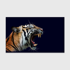 Бумага для упаковки 3D с принтом Оскал тигра | Большая кошка в Петрозаводске, пластик и полированная сталь | круглая форма, металлическое крепление в виде кольца | 2022 | big teeth | fangs | grin | tiger | tigr | tigris | большая кошка | большие зубы | клыки | новый год | оскалиться | острые клыки | полосатая кошка | скалить | скалить зубы | тигр