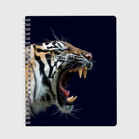 Тетрадь с принтом Оскал тигра | Большая кошка в Петрозаводске, 100% бумага | 48 листов, плотность листов — 60 г/м2, плотность картонной обложки — 250 г/м2. Листы скреплены сбоку удобной пружинной спиралью. Уголки страниц и обложки скругленные. Цвет линий — светло-серый
 | 2022 | big teeth | fangs | grin | tiger | tigr | tigris | большая кошка | большие зубы | клыки | новый год | оскалиться | острые клыки | полосатая кошка | скалить | скалить зубы | тигр