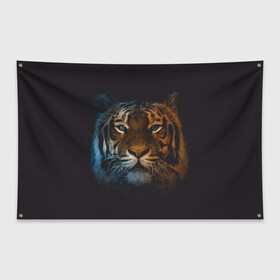 Флаг-баннер с принтом Тигр с голубыми глазами в Петрозаводске, 100% полиэстер | размер 67 х 109 см, плотность ткани — 95 г/м2; по краям флага есть четыре люверса для крепления | tiger | животное | символ года | тигр | хищник