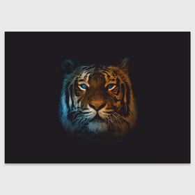 Поздравительная открытка с принтом Тигр с голубыми глазами в Петрозаводске, 100% бумага | плотность бумаги 280 г/м2, матовая, на обратной стороне линовка и место для марки
 | tiger | животное | символ года | тигр | хищник