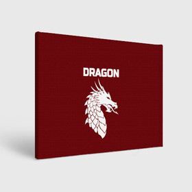 Холст прямоугольный с принтом WHITE_DRAGON в Петрозаводске, 100% ПВХ |  | dragon | white | white dragon | белый | белый дракон | дракон | дракон вектор