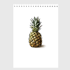 Скетчбук с принтом Pineapple watercolor в Петрозаводске, 100% бумага
 | 48 листов, плотность листов — 100 г/м2, плотность картонной обложки — 250 г/м2. Листы скреплены сверху удобной пружинной спиралью | pineapple | ананас | графика | еда | рисунок | фрукт
