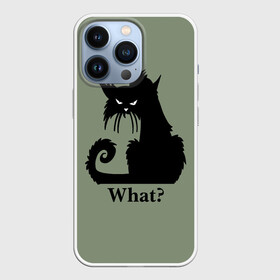 Чехол для iPhone 13 Pro с принтом What Что в Петрозаводске,  |  | black cat | cat | fearsome | halloween | question | silhouette | stern look | what | вопрос | кошка | силуэт | суровый взгляд | хеллоуин | черный кот | что