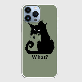 Чехол для iPhone 13 Pro Max с принтом What Что в Петрозаводске,  |  | Тематика изображения на принте: black cat | cat | fearsome | halloween | question | silhouette | stern look | what | вопрос | кошка | силуэт | суровый взгляд | хеллоуин | черный кот | что