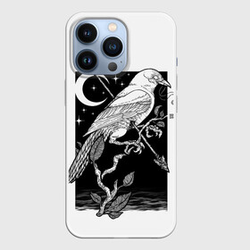 Чехол для iPhone 13 Pro с принтом Оккультный Ворон в Петрозаводске,  |  | arrow | eclipse | feather | feathers | leaf | leaves | moon | night | occult | plant | raven | shoot | stars | sunset | trunk | wings | ворон | закат | затмение | звезды | крылья | лист | листья | луна | ночь | оккультизм | оккультный | перо | перья | поб