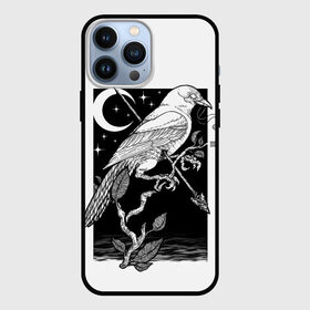 Чехол для iPhone 13 Pro Max с принтом Оккультный Ворон в Петрозаводске,  |  | arrow | eclipse | feather | feathers | leaf | leaves | moon | night | occult | plant | raven | shoot | stars | sunset | trunk | wings | ворон | закат | затмение | звезды | крылья | лист | листья | луна | ночь | оккультизм | оккультный | перо | перья | поб