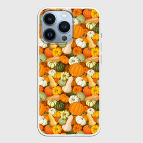 Чехол для iPhone 13 Pro с принтом Тыквы (Pumpkin) в Петрозаводске,  |  | halloween | блюдо | веган | вегетарианец | витамины | диета | еда | завтрак | здоровое питание | здоровье | зелень | зож | корм | кушанье | обед | овощи | офощи | перекус | пища | повар | растительное питание