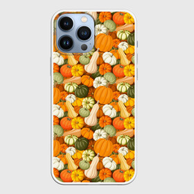 Чехол для iPhone 13 Pro Max с принтом Тыквы (Pumpkin) в Петрозаводске,  |  | halloween | блюдо | веган | вегетарианец | витамины | диета | еда | завтрак | здоровое питание | здоровье | зелень | зож | корм | кушанье | обед | овощи | офощи | перекус | пища | повар | растительное питание