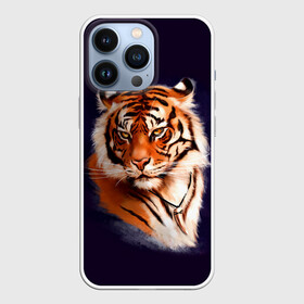 Чехол для iPhone 13 Pro с принтом Грозный Тигр | Символ 2022 Года | Tiger Beast в Петрозаводске,  |  | Тематика изображения на принте: 2022 | beast | black | cat | christmas | merry | new year | tiger | xmas | водяной | год тигра | животные | зверь | когти | кот | кошки | новый год | огонь | паттерн | полосатый | рождество | тигр | узор | чб | черный