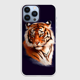 Чехол для iPhone 13 Pro Max с принтом Грозный Тигр | Символ 2022 Года | Tiger Beast в Петрозаводске,  |  | Тематика изображения на принте: 2022 | beast | black | cat | christmas | merry | new year | tiger | xmas | водяной | год тигра | животные | зверь | когти | кот | кошки | новый год | огонь | паттерн | полосатый | рождество | тигр | узор | чб | черный