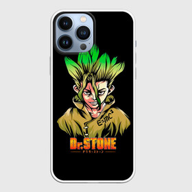 Чехол для iPhone 13 Pro Max с принтом Dr. Stone E  mc2 в Петрозаводске,  |  | anime | dr stone | dr stone stone wars | e  mc2 | manga | senku | senku ishigami | senkuu ishigami | аниме | вождь деревни исигами | десять миллиардов процентов | доктор камень | доктор стоун | докута сутон | исигами сенку | исигами сэнку