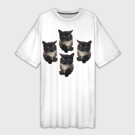 Платье-футболка 3D с принтом Чмоня в Петрозаводске,  |  | животные | кот | котики | коты | мем | мем 2022 | мемы | тренд