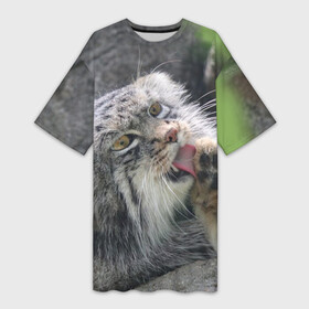 Платье-футболка 3D с принтом Манул  Лапка в Петрозаводске,  |  | Тематика изображения на принте: cat | cats | всеядный | детеныш | дикие | звери | зверята | кот | котик | лапка | манул | медведь | милый | природа | хищник