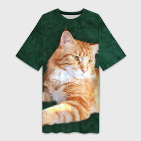 Платье-футболка 3D с принтом Мейн кун рыжий кот в Петрозаводске,  |  | cat | зеленая | зеленый | кот | котенок | котик | красивый | кун | мейн | порода | рыжий | фотография