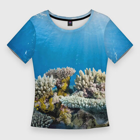 Женская футболка 3D Slim с принтом Кораллы в тропических водах индийского океана в Петрозаводске,  |  | bottom | coral | fish | ocean | tropics | дно | коралл | океан | рыба | тропики
