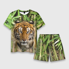 Мужской костюм с шортами 3D с принтом Матёрый тигр в зарослях бамбука в Петрозаводске,  |  | Тематика изображения на принте: eyes | jungle | moustache | muzzle | nose | skin | tiger | глаза | джунгли | нос | тигр | усы