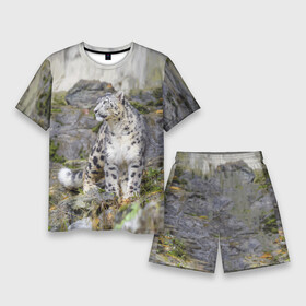 Мужской костюм с шортами 3D с принтом Снежный барс среди скал в Петрозаводске,  |  | mountains | muzzle | nature | paws | rocks | snow leopard | tail | барс | горы | камни | лапы | природа | скалы | хвост