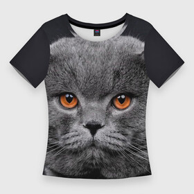 Женская футболка 3D Slim с принтом Британский серый кот в Петрозаводске,  |  | british | cat | cats | kitty | британская | британская серая | британские | британский | кот | котёнок | котик | котята | кошечка | кошка | серый кот