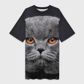 Платье-футболка 3D с принтом Британский серый кот в Петрозаводске,  |  | british | cat | cats | kitty | британская | британская серая | британские | британский | кот | котёнок | котик | котята | кошечка | кошка | серый кот