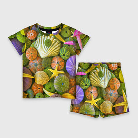 Детский костюм с шортами 3D с принтом Композиция из морских звёзд и ракушек в Петрозаводске,  |  | color | composition | shell | starfish | композиция | морская звезда | ракушка | цвет